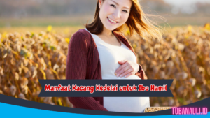 manfaat kacang kedelai untuk ibu hamil