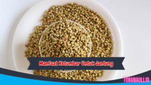 Manfaat Ketumbar untuk Jantung