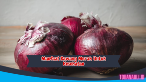 manfaat bawang merah untuk kesehatan