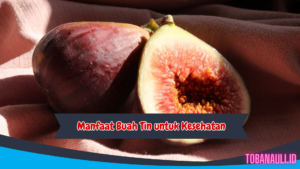 manfaat buah tin untuk kesehatan