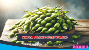 manfaat edamame untuk kesehatan