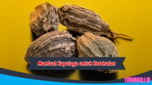 manfaat kapulaga untuk kesehatan