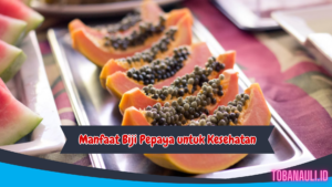 manfaat biji pepaya untuk kesehatan