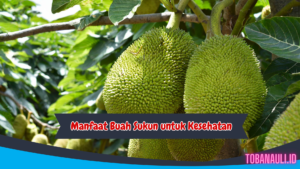 manfaat buah sukun untuk kesehatan