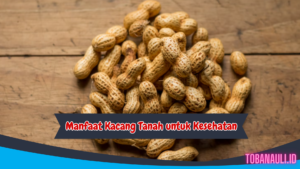 manfaat kacang tanah untuk kesehatan