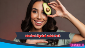 manfaat buah alpukat untuk kulit