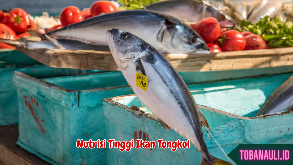 Manfaat Ikan Tongkol untuk Kesehatan 3