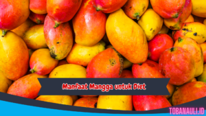 Manfaat Mangga untuk Diet