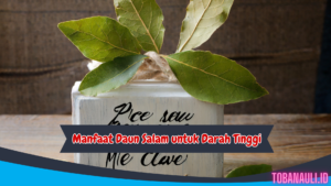 Manfaat Daun Salam untuk Darah Tinggi