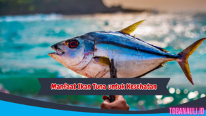 Manfaat Ikan Tuna untuk Kesehatan