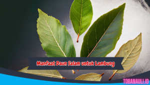 Manfaat Daun Salam untuk Lambung