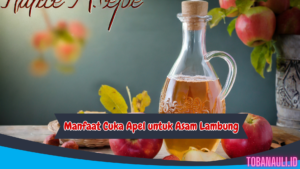 Manfaat Cuka Apel untuk Asam Lambung