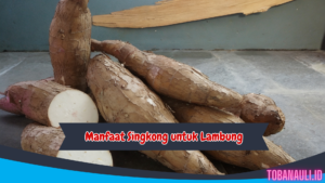 Manfaat Singkong untuk Lambung