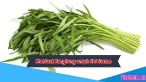 Manfaat Kangkung untuk Kesehatan