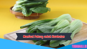 Manfaat Pakcoy untuk Kesehatan