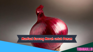 Manfaat Bawang Merah untuk Demam