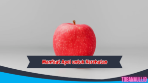 Manfaat Buah Apel untuk Kesehatan