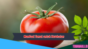 Manfaat Tomat untuk Kesehatan