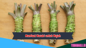 Manfaat Wasabi untuk Wajah