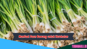 Manfaat Daun Bawang untuk Kesehatan