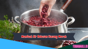 Manfaat Air Rebusan Kacang Merah