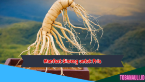 Manfaat Ginseng untuk Pria