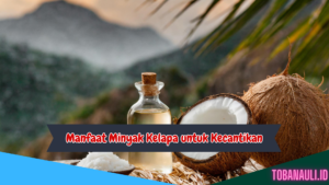 Manfaat Minyak Kelapa untuk Kecantikan