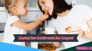 Manfaat Susu Kedelai untuk Ibu Menyusui