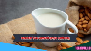 Manfaat Susu Almond untuk Lambung