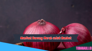 Manfaat Bawang Merah untuk Rambut