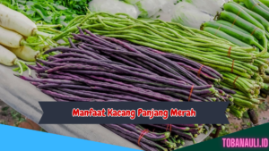 Manfaat Kacang Panjang Merah untuk Kesehatan