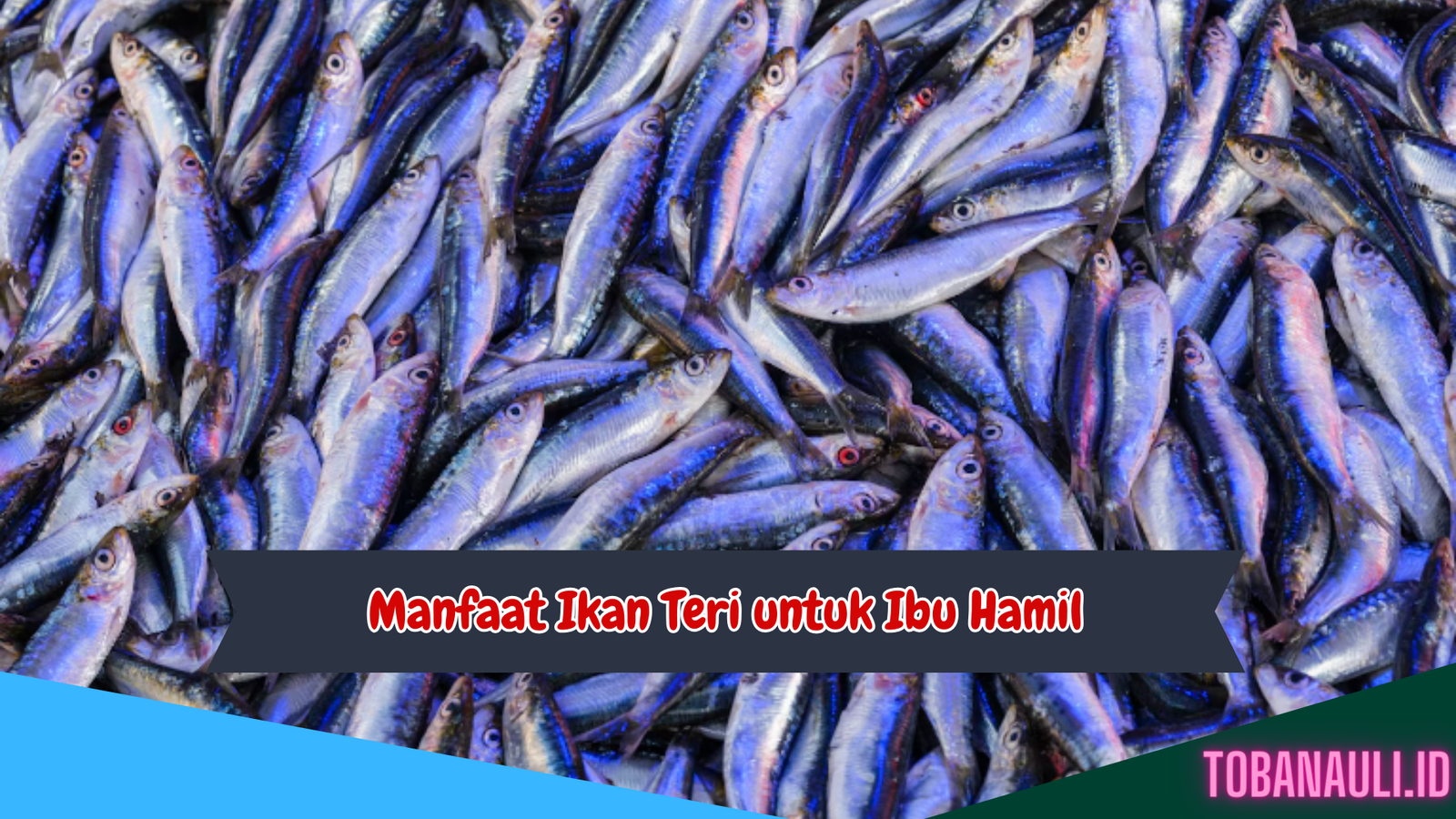 Manfaat Ikan Teri untuk Ibu Hamil
