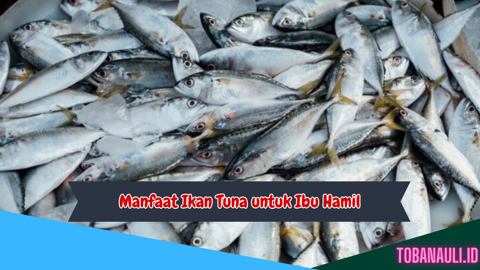 Manfaat Ikan Tuna untuk Ibu Hamil