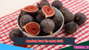 Manfaat Buah Tin untuk Kulit