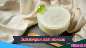 Manfaat Yoghurt untuk Pencernaan