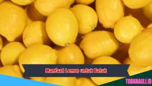 Manfaat lemon untuk batuk