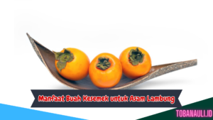 Manfaat Buah Kesemek untuk Asam Lambung