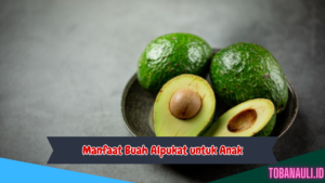 Manfaat Buah Alpukat untuk Anak