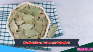 Manfaat daun salam untuk rambut