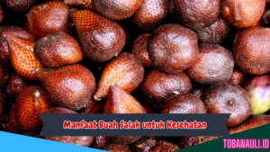 Manfaat Buah Salak untuk Kesehatan