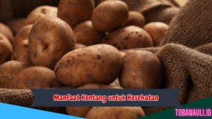 Manfaat Kentang untuk Kesehatan