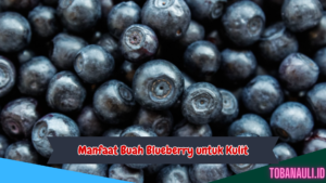 Manfaat Buah Blueberry untuk Kulit