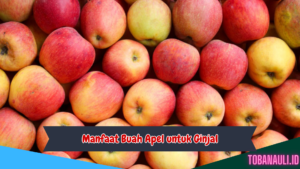 Manfaat Buah Apel untuk Ginjal