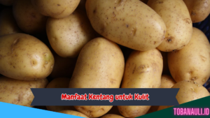 Manfaat Kentang untuk Kulit