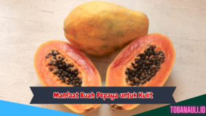 Manfaat Buah Pepaya untuk Kulit