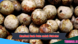 Manfaat Buah Duku untuk Diabetes