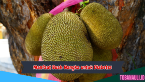 Manfaat Buah Nangka untuk Diabetes