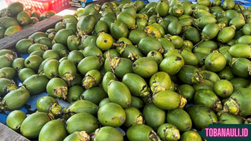 Manfaat Buah Pinang untuk Mata