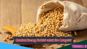 Manfaat Kacang Kedelai untuk Ibu Menyusui