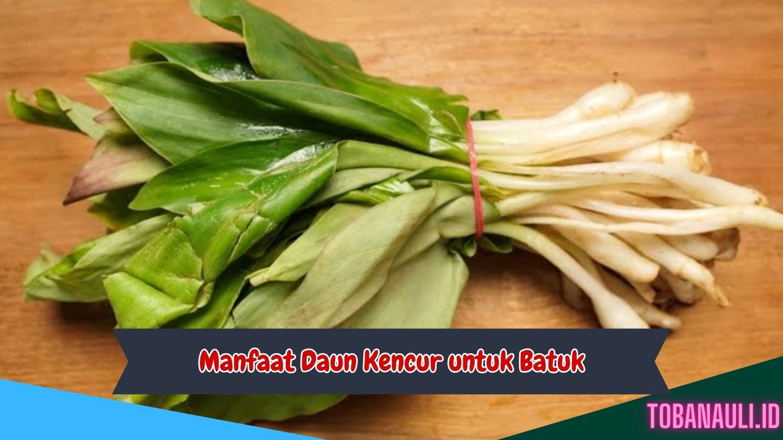 Manfaat Daun Kencur untuk Batuk